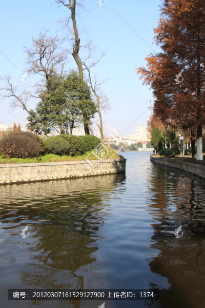 公園景色