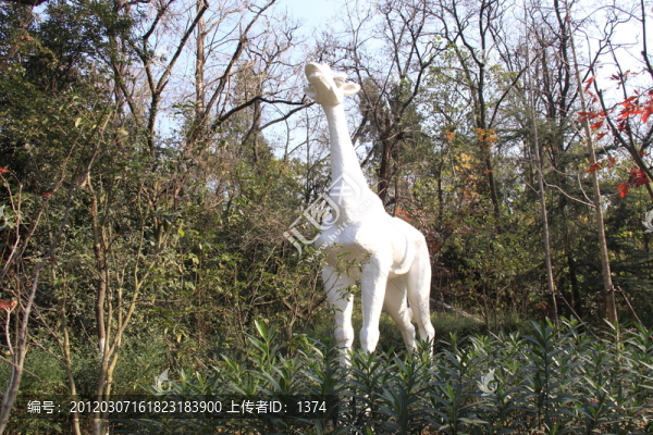 公園景色