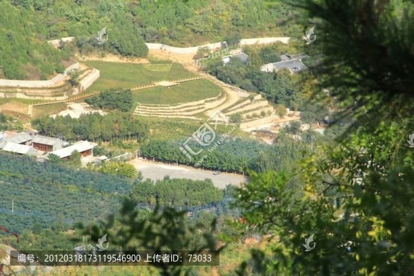 俯拍百望山田園