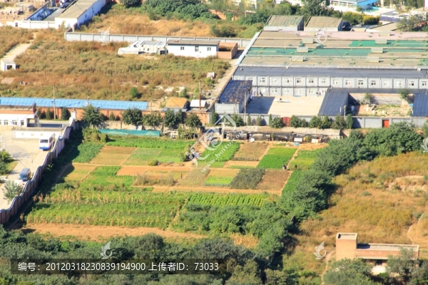 城市風貌,俯拍