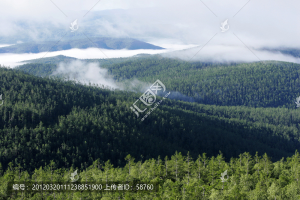 大興安嶺,云霧升騰