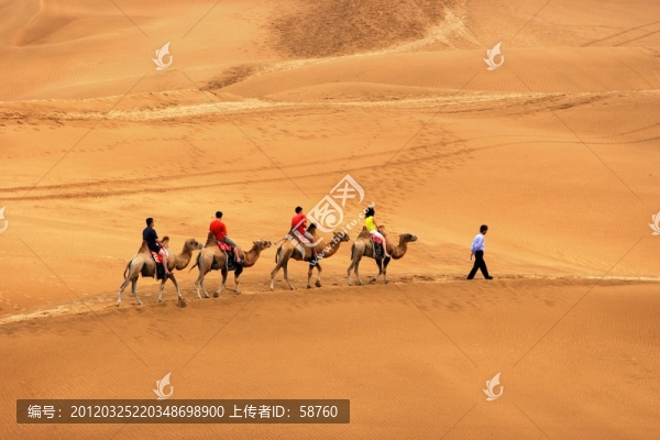 庫布其沙漠,駝隊