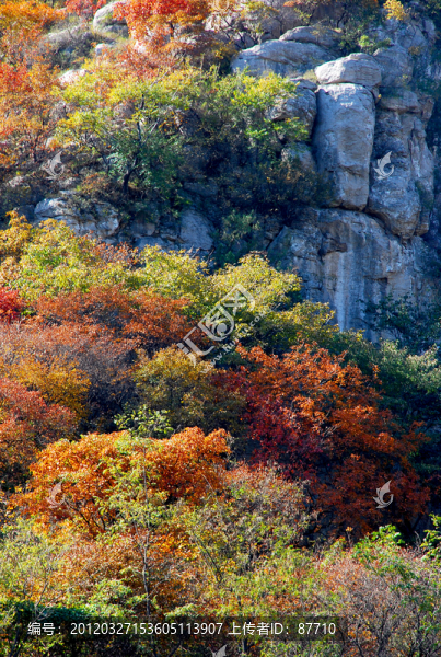 山谷