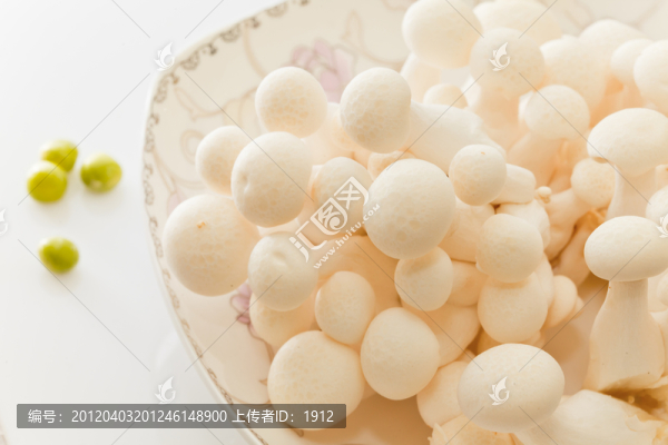 蘑菇