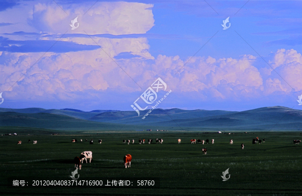 額爾古納河,牧場(chǎng)