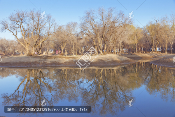 樹林