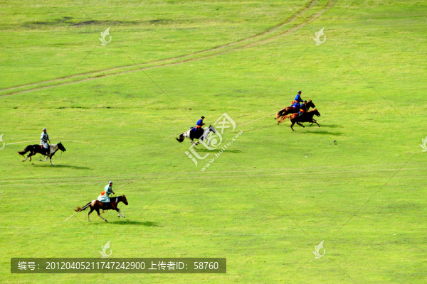 呼倫貝爾草原,牧場馬群