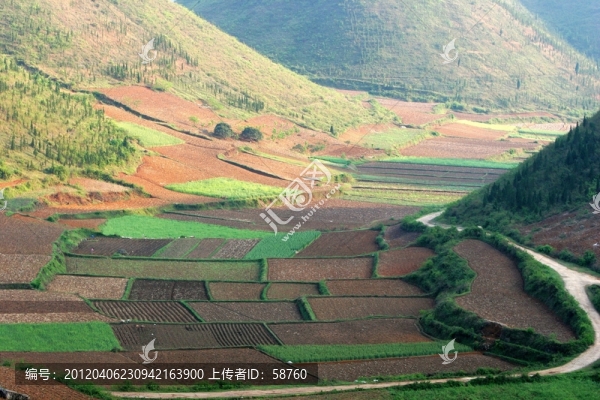 貴州省凱里,農(nóng)田耕地