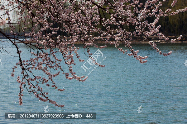 桃花湖水