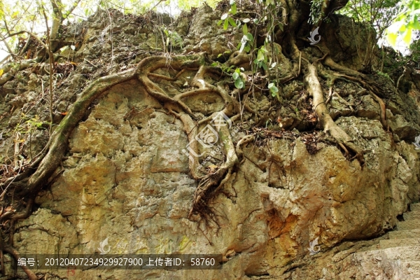 天星橋景區(qū),九龍盤壁景點(diǎn)