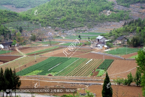 貴州黔西縣,村落耕地
