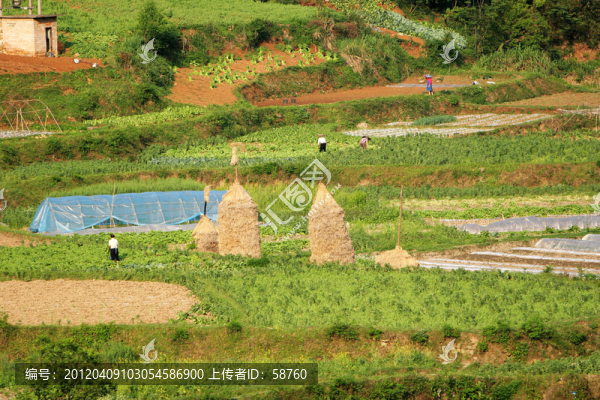 黔東南,農民耕作