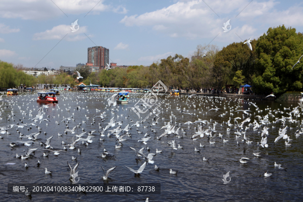 昆明翠湖