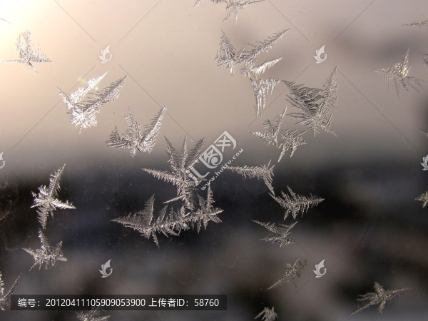 大自然賜予的藝術(shù),霜花