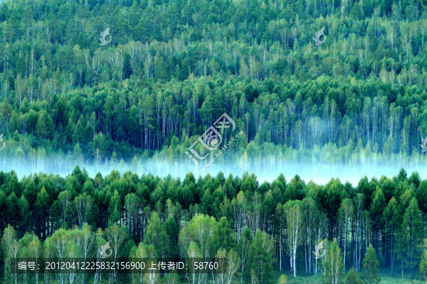 山林之晨霧
