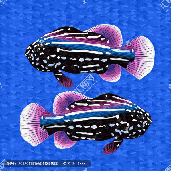 裝飾畫,無框畫,油畫,魚