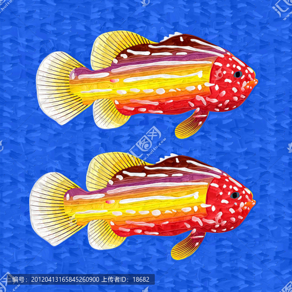 裝飾畫,無框畫,油畫,魚