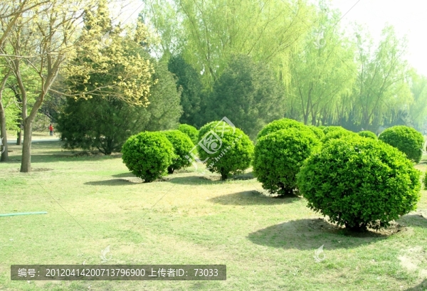 綠化園林,公園一角