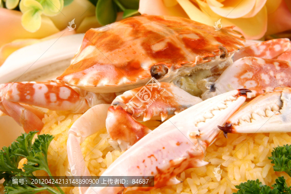 螃蟹煲醬飯