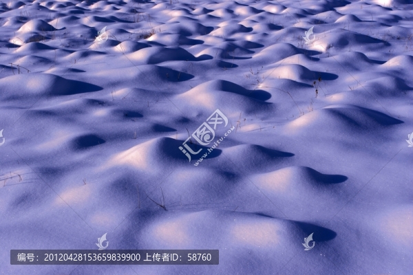 濕地塔頭