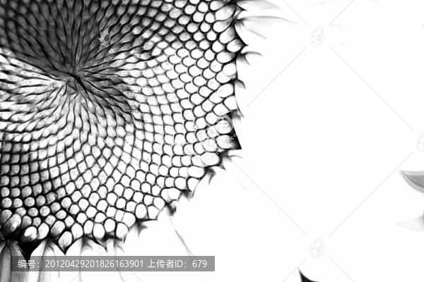 抽象畫