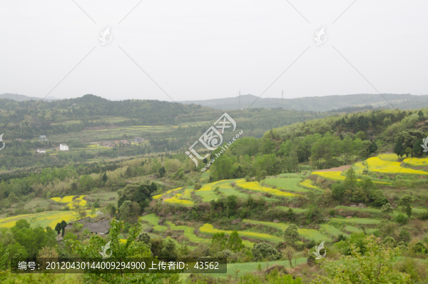 農(nóng)村風(fēng)光
