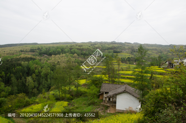 農(nóng)村風(fēng)光