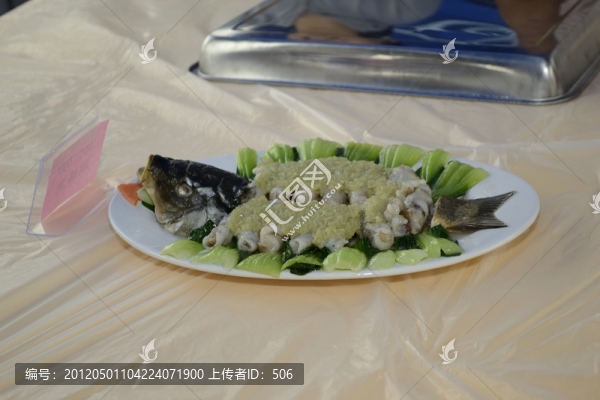 蝴蝶魚
