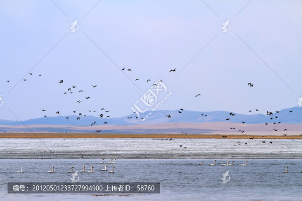 胡列也吐濕地