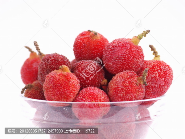 楊梅