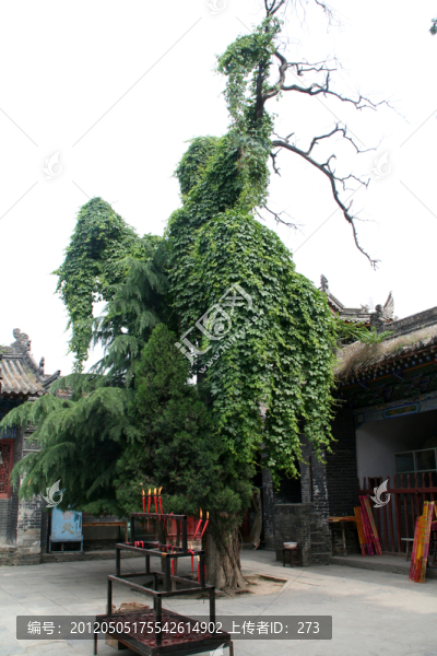 陜西周至樓觀臺