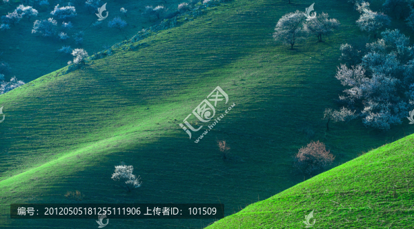 土爾根,杏花溝