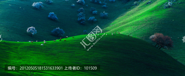 土爾根,杏花溝