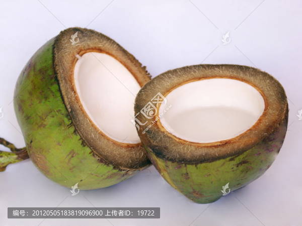 椰果