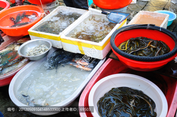 水產(chǎn)品市場