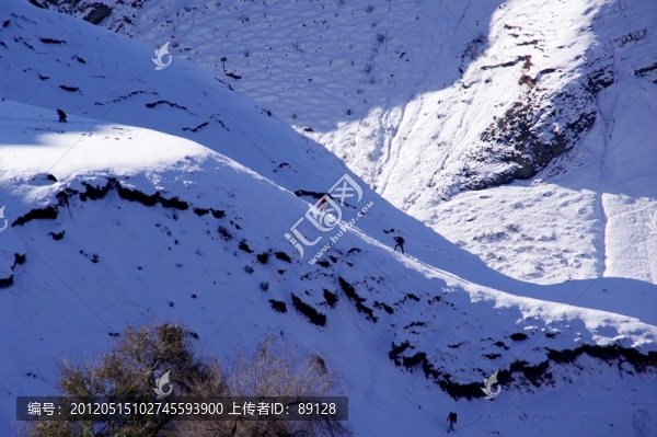 雪山光影