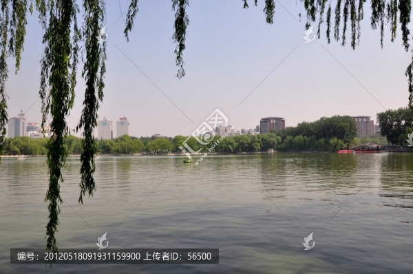 都市風(fēng)光