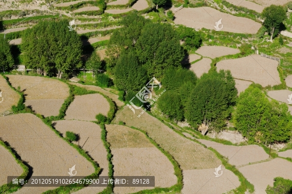 高原梯田