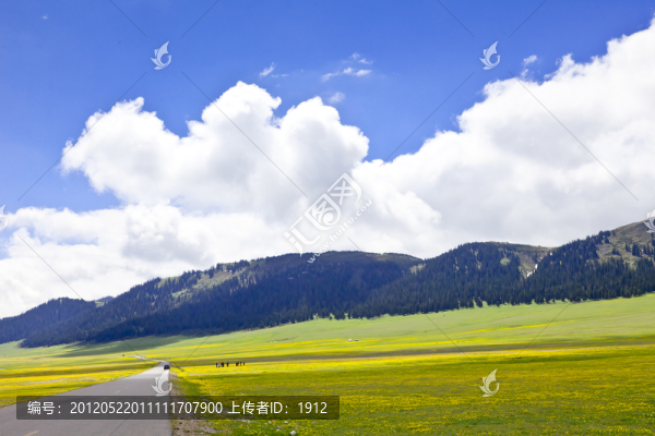 賽里木湖公路