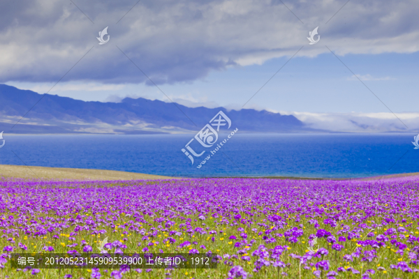 草原湖泊