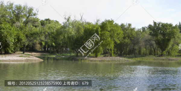 池水盈盈