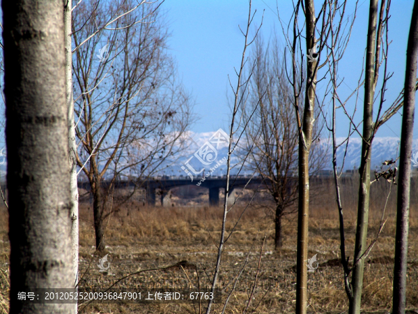伊犁河遠(yuǎn)眺