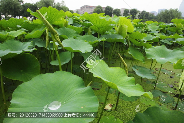 寧波博物館