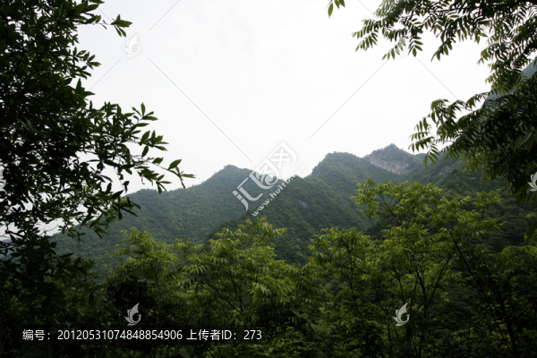 陜西山陽天竺山國家森林公園