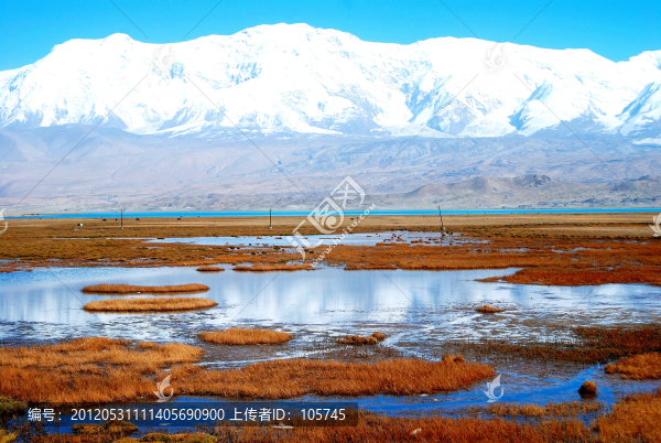雪山濕地