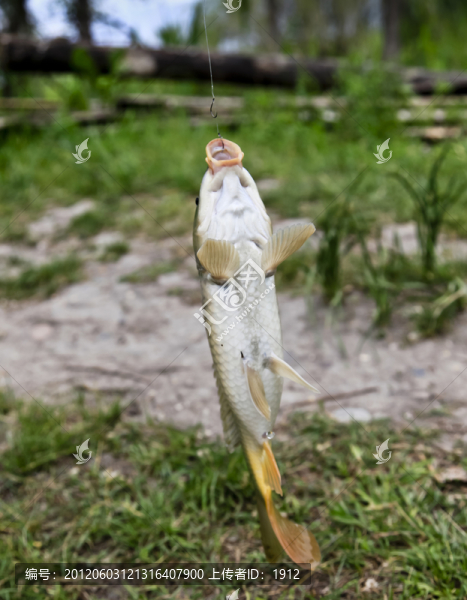 釣魚