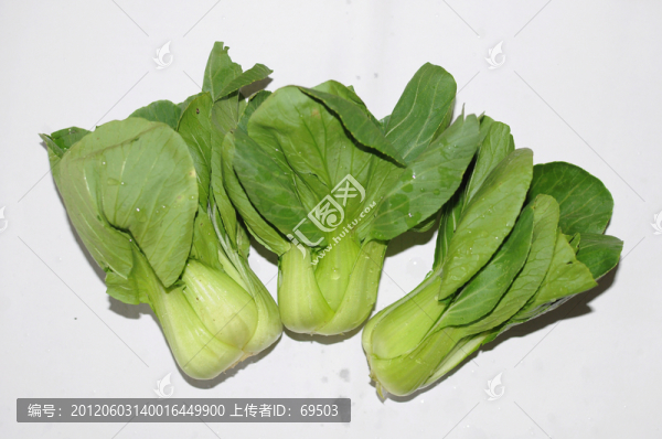 青菜