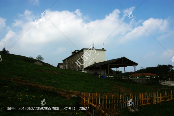 百里荒山楂樹文化園