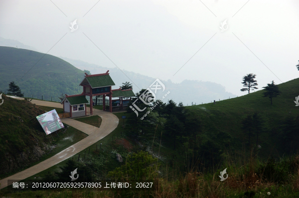 百里荒山楂樹文化園