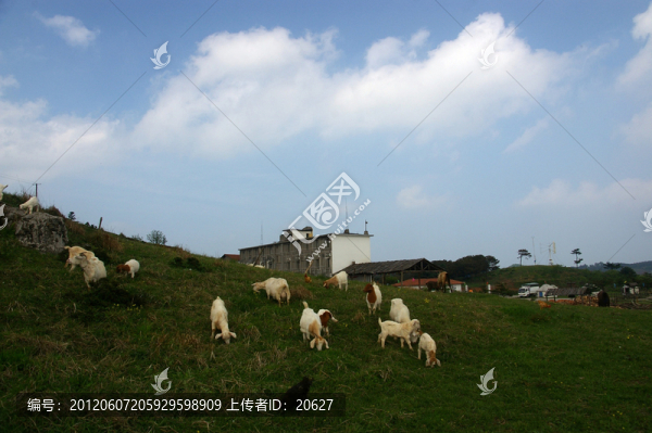 百里荒山楂樹文化園